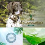 dog-shampoo-dr-witte